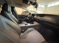 Ds DS4 1.5 BlueHDi 130cv Business 2022