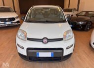 Fiat Panda Cross 1.0 70cv FireFly S&S Hybrid 2022